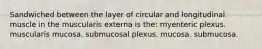 Sandwiched between the layer of circular and longitudinal muscle in the muscularis externa is the: myenteric plexus. muscularis mucosa. submucosal plexus. mucosa. submucosa.