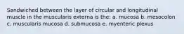 Sandwiched between the layer of circular and longitudinal muscle in the muscularis externa is the: a. mucosa b. mesocolon c. muscularis mucosa d. submucosa e. myenteric plexus