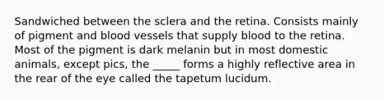 Sandwiched between the sclera and the retina. Consists mainly of pigment and blood vessels that supply blood to the retina. Most of the pigment is dark melanin but in most domestic animals, except pics, the _____ forms a highly reflective area in the rear of the eye called the tapetum lucidum.