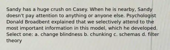 Sandy has a huge crush on Casey. When he is nearby, Sandy doesn't pay attention to anything or anyone else. Psychologist Donald Broadbent explained that we selectively attend to the most important information in this model, which he developed. Select one: a. change blindness b. chunking c. schemas d. filter theory