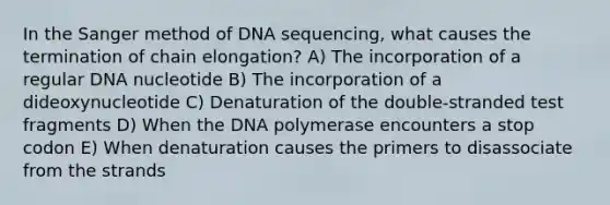 In the Sanger method of DNA sequencing, what causes the termination of chain elongation? A) The incorporation of a regular DNA nucleotide B) The incorporation of a dideoxynucleotide C) Denaturation of the double-stranded test fragments D) When the DNA polymerase encounters a stop codon E) When denaturation causes the primers to disassociate from the strands