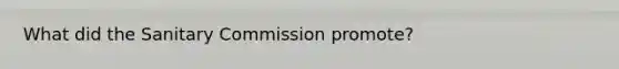 What did the Sanitary Commission promote?