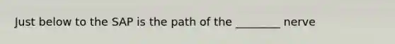 Just below to the SAP is the path of the ________ nerve