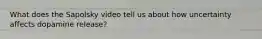 What does the Sapolsky video tell us about how uncertainty affects dopamine release?