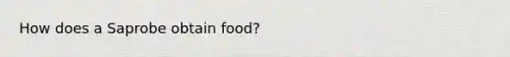 How does a Saprobe obtain food?