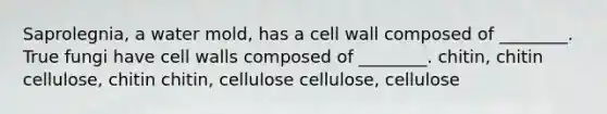 Saprolegnia, a water mold, has a cell wall composed of ________. True fungi have cell walls composed of ________. chitin, chitin cellulose, chitin chitin, cellulose cellulose, cellulose