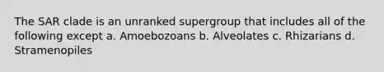 The SAR clade is an unranked supergroup that includes all of the following except a. Amoebozoans b. Alveolates c. Rhizarians d. Stramenopiles