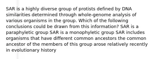 SAR is a highly diverse group of protists defined by DNA similarities determined through whole-genome analysis of various organisms in the group. Which of the following conclusions could be drawn from this information? SAR is a paraphyletic group SAR is a monophyletic group SAR includes organisms that have different common ancestors the common ancestor of the members of this group arose relatively recently in evolutionary history