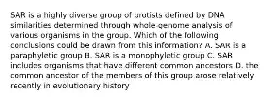 SAR is a highly diverse group of protists defined by DNA similarities determined through whole-genome analysis of various organisms in the group. Which of the following conclusions could be drawn from this information? A. SAR is a paraphyletic group B. SAR is a monophyletic group C. SAR includes organisms that have different common ancestors D. the common ancestor of the members of this group arose relatively recently in evolutionary history