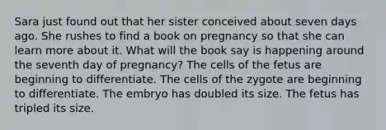 Sara just found out that her sister conceived about seven days ago. She rushes to find a book on pregnancy so that she can learn more about it. What will the book say is happening around the seventh day of pregnancy? The cells of the fetus are beginning to differentiate. The cells of the zygote are beginning to differentiate. The embryo has doubled its size. The fetus has tripled its size.