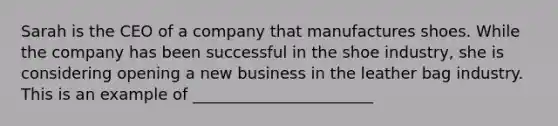 Sarah is the CEO of a company that manufactures shoes. While the company has been successful in the shoe industry, she is considering opening a new business in the leather bag industry. This is an example of _______________________