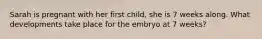 Sarah is pregnant with her first child, she is 7 weeks along. What developments take place for the embryo at 7 weeks?