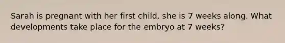 Sarah is pregnant with her first child, she is 7 weeks along. What developments take place for the embryo at 7 weeks?