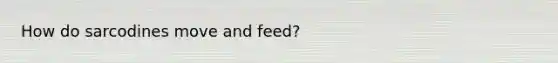 How do sarcodines move and feed?