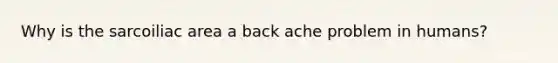 Why is the sarcoiliac area a back ache problem in humans?