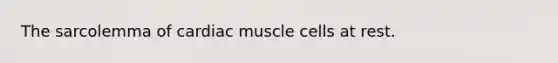 The sarcolemma of cardiac muscle cells at rest.