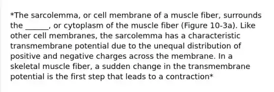 *The sarcolemma, or cell membrane of a muscle fiber, surrounds the ______, or cytoplasm of the muscle fiber (Figure 10-3a). Like other cell membranes, the sarcolemma has a characteristic transmembrane potential due to the unequal distribution of positive and negative charges across the membrane. In a skeletal muscle fiber, a sudden change in the transmembrane potential is the first step that leads to a contraction*