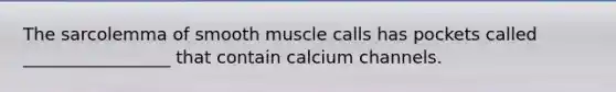 The sarcolemma of smooth muscle calls has pockets called _________________ that contain calcium channels.