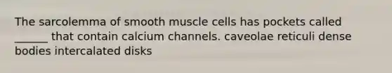 The sarcolemma of smooth muscle cells has pockets called ______ that contain calcium channels. caveolae reticuli dense bodies intercalated disks