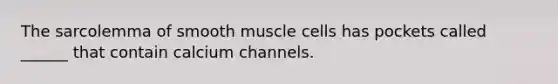 The sarcolemma of smooth muscle cells has pockets called ______ that contain calcium channels.