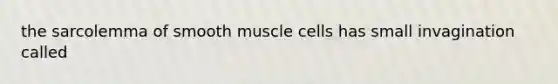 the sarcolemma of smooth muscle cells has small invagination called