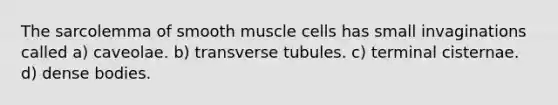 The sarcolemma of smooth muscle cells has small invaginations called a) caveolae. b) transverse tubules. c) terminal cisternae. d) dense bodies.