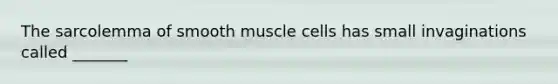 The sarcolemma of smooth muscle cells has small invaginations called _______