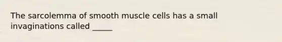 The sarcolemma of smooth muscle cells has a small invaginations called _____