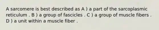 A sarcomere is best described as A ) a part of the sarcoplasmic reticulum . B ) a group of fascicles . C ) a group of muscle fibers . D ) a unit within a muscle fiber .