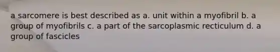 a sarcomere is best described as a. unit within a myofibril b. a group of myofibrils c. a part of the sarcoplasmic recticulum d. a group of fascicles