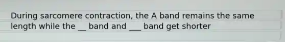 During sarcomere contraction, the A band remains the same length while the __ band and ___ band get shorter