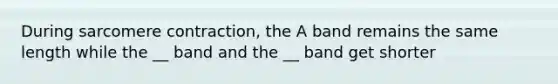 During sarcomere contraction, the A band remains the same length while the __ band and the __ band get shorter