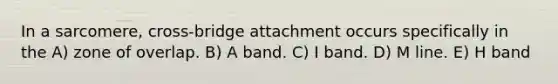 In a sarcomere, cross-bridge attachment occurs specifically in the A) zone of overlap. B) A band. C) I band. D) M line. E) H band