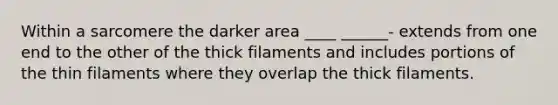 Within a sarcomere the darker area ____ ______- extends from one end to the other of the thick filaments and includes portions of the thin filaments where they overlap the thick filaments.