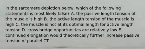 in the sarcomere depiction below, which of the following statements is most likely false? A. the passive length tension of the muscle is high B. the active length tension of the muscle is high C. the muscle is not at its optimal length for active length tension D. cross bridge opportunities are relatively low E. continued elongation would theoretically further increase passive tension of parallel CT