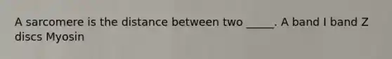 A sarcomere is the distance between two _____. A band I band Z discs Myosin