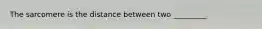 The sarcomere is the distance between two _________