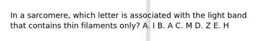 In a sarcomere, which letter is associated with the light band that contains thin filaments only? A. I B. A C. M D. Z E. H