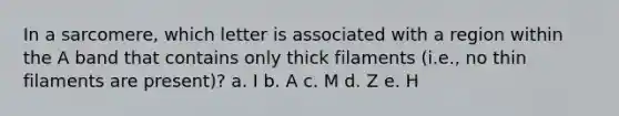 In a sarcomere, which letter is associated with a region within the A band that contains only thick filaments (i.e., no thin filaments are present)? a. I b. A c. M d. Z e. H