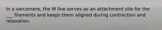In a sarcomere, the M line serves as an attachment site for the ___ filaments and keeps them aligned during contraction and relaxation.
