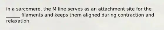in a sarcomere, the M line serves as an attachment site for the ______ filaments and keeps them aligned during contraction and relaxation.