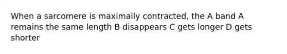 When a sarcomere is maximally contracted, the A band A remains the same length B disappears C gets longer D gets shorter
