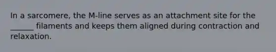In a sarcomere, the M-line serves as an attachment site for the ______ filaments and keeps them aligned during contraction and relaxation.