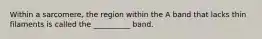 Within a sarcomere, the region within the A band that lacks thin filaments is called the __________ band.