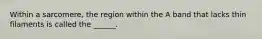 Within a sarcomere, the region within the A band that lacks thin filaments is called the ______.