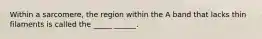 Within a sarcomere, the region within the A band that lacks thin filaments is called the _____ ______.