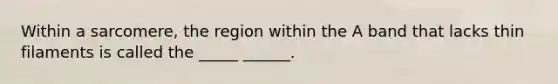 Within a sarcomere, the region within the A band that lacks thin filaments is called the _____ ______.