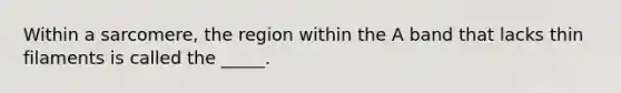 Within a sarcomere, the region within the A band that lacks thin filaments is called the _____.