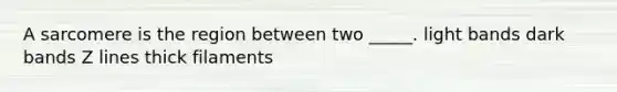 A sarcomere is the region between two _____. light bands dark bands Z lines thick filaments