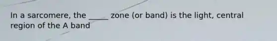 In a sarcomere, the _____ zone (or band) is the light, central region of the A band